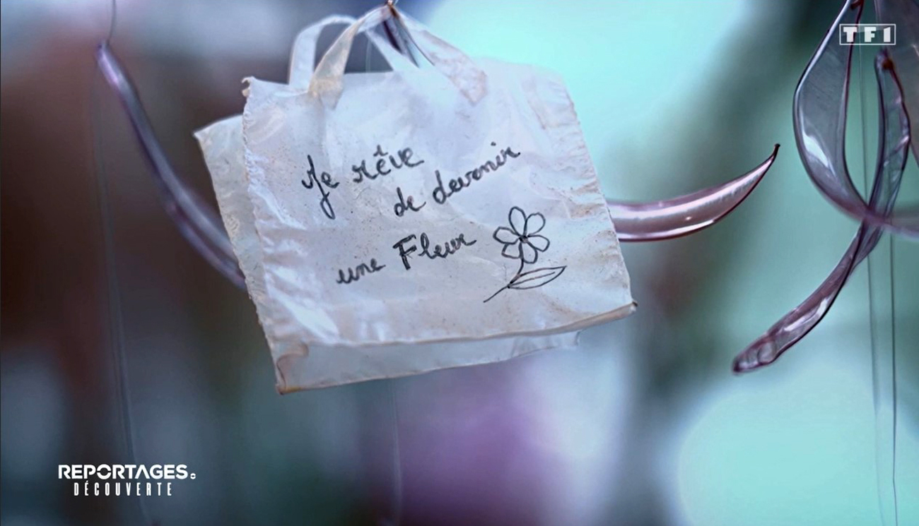 TF1 REPORTAGES Decouvertes William Amor Upcycling Artist