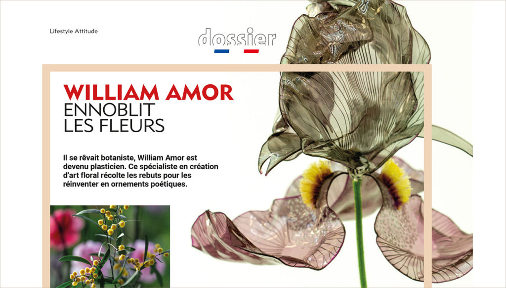William Amor Ou Acheternull