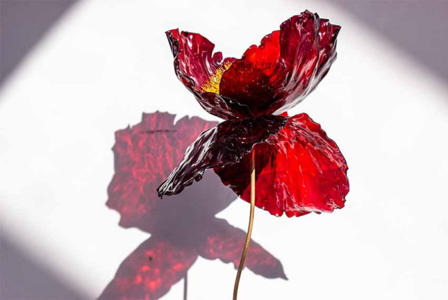 Une des seize sculptures de la série Poppy Gigantea Petrotoxica, 2023, présentée lors de l’exposition « Les Racines Poussent dans l’Ombre », jusqu’au 24 février 2024 à Aix-en-Provence. © William Amor.