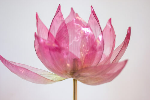 LOTUS DIWALI_CARTIER ©William Amor 2025_UneArt