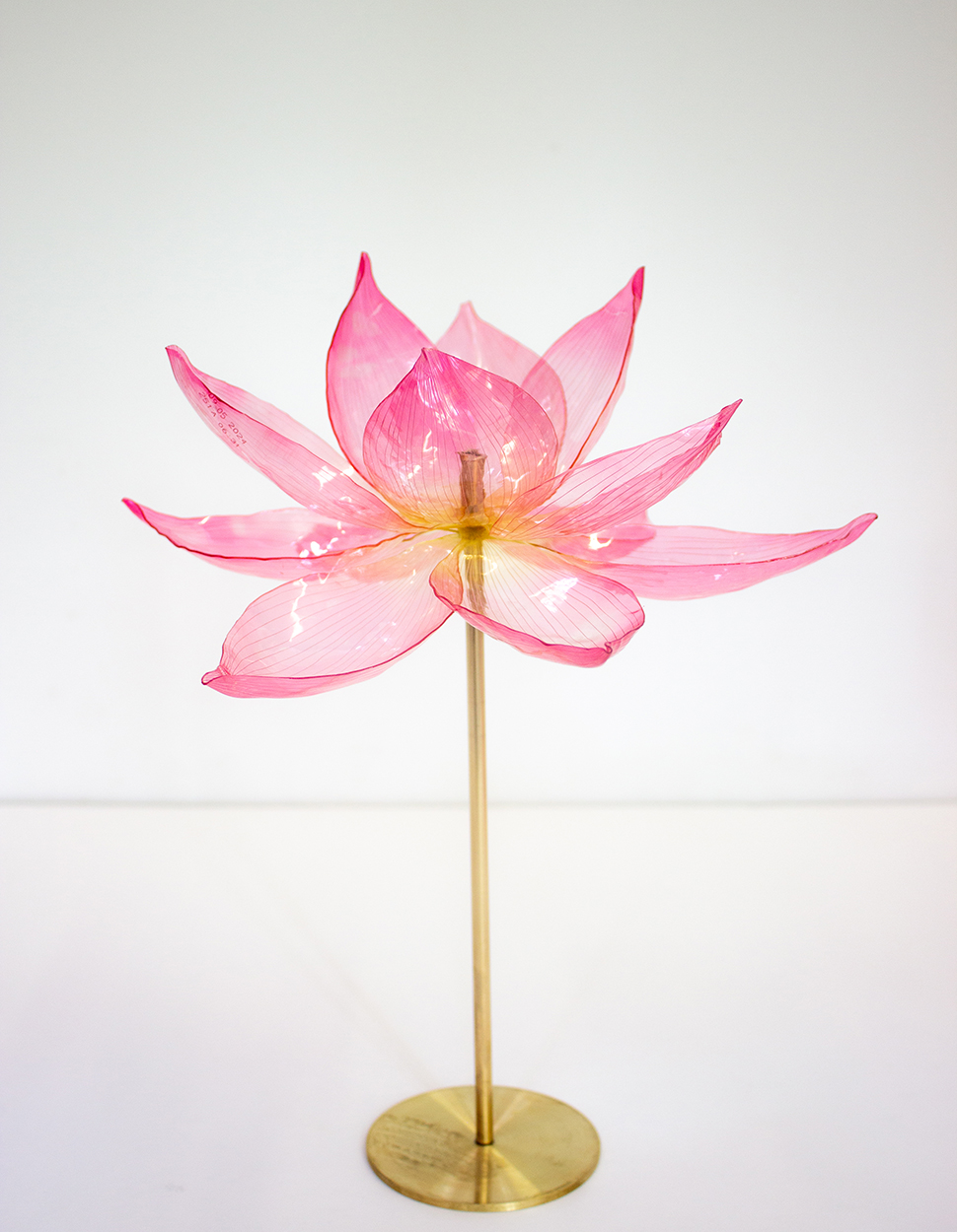 LOTUS DIWALI_CARTIER ©William Amor 2025_UneGal